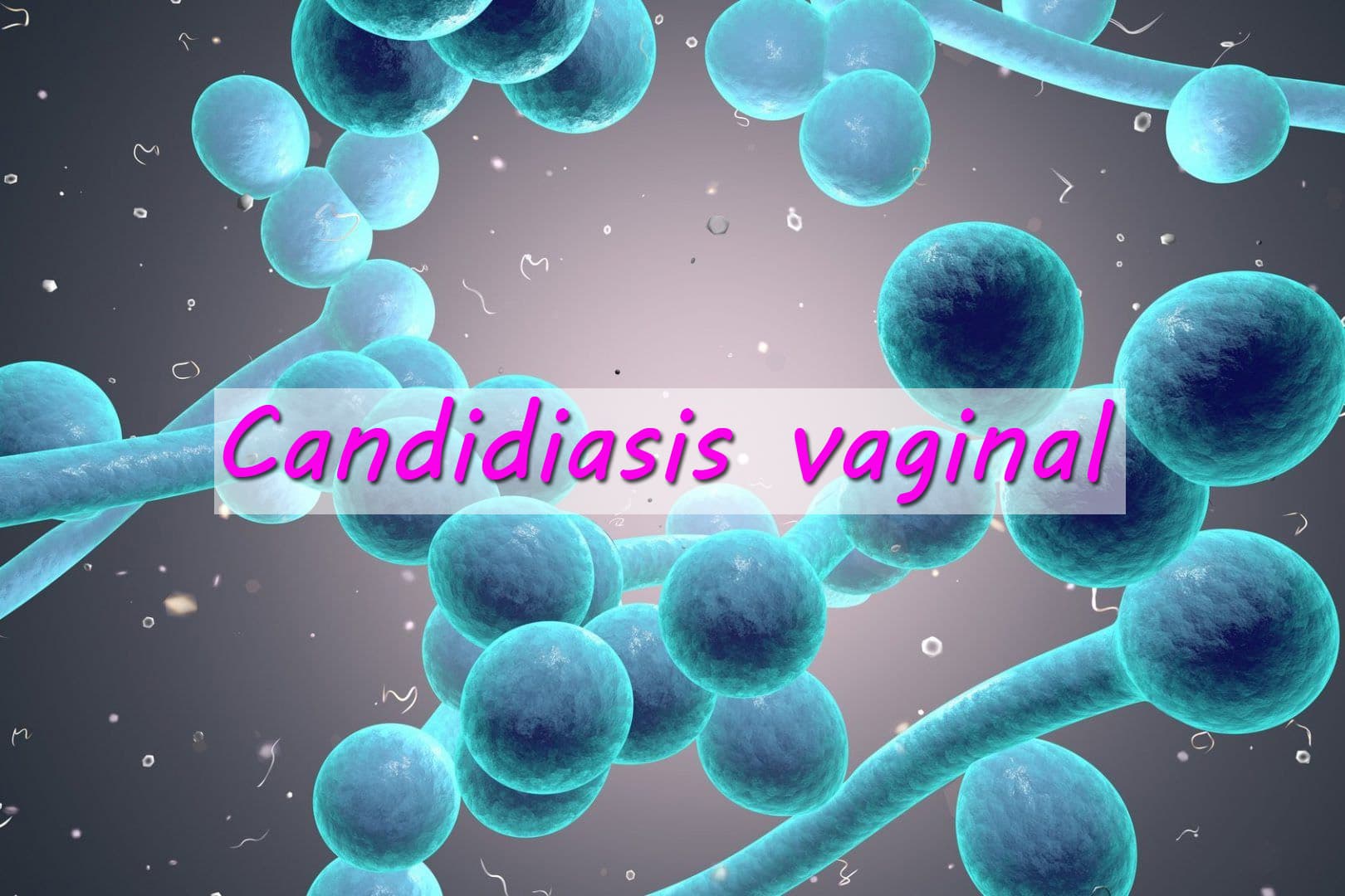 Descubiertos los mecanismos de defensa ante la infección por candidiasis vaginal