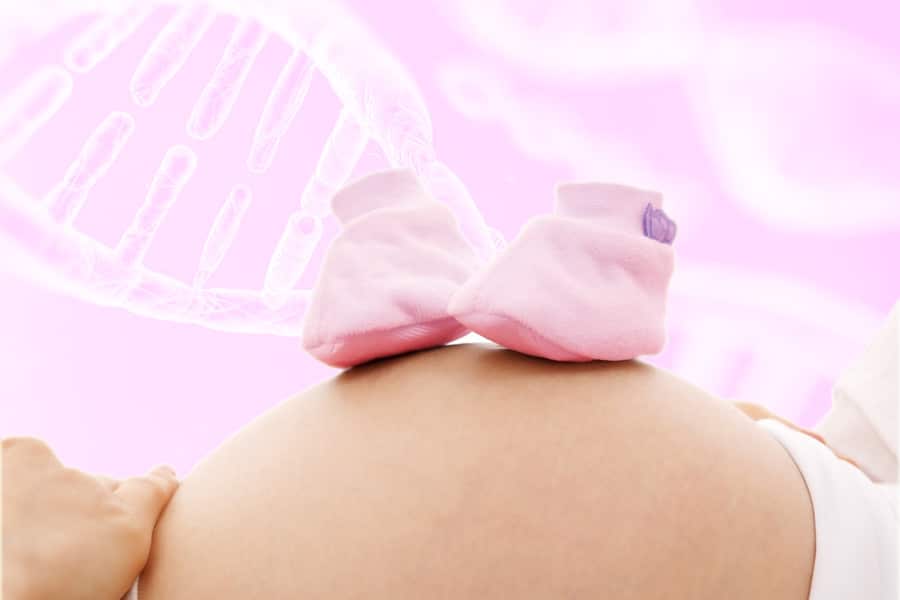 Descubiertos nuevos genes vinculados con una mayor esperanza de vida reproductiva en las mujeres