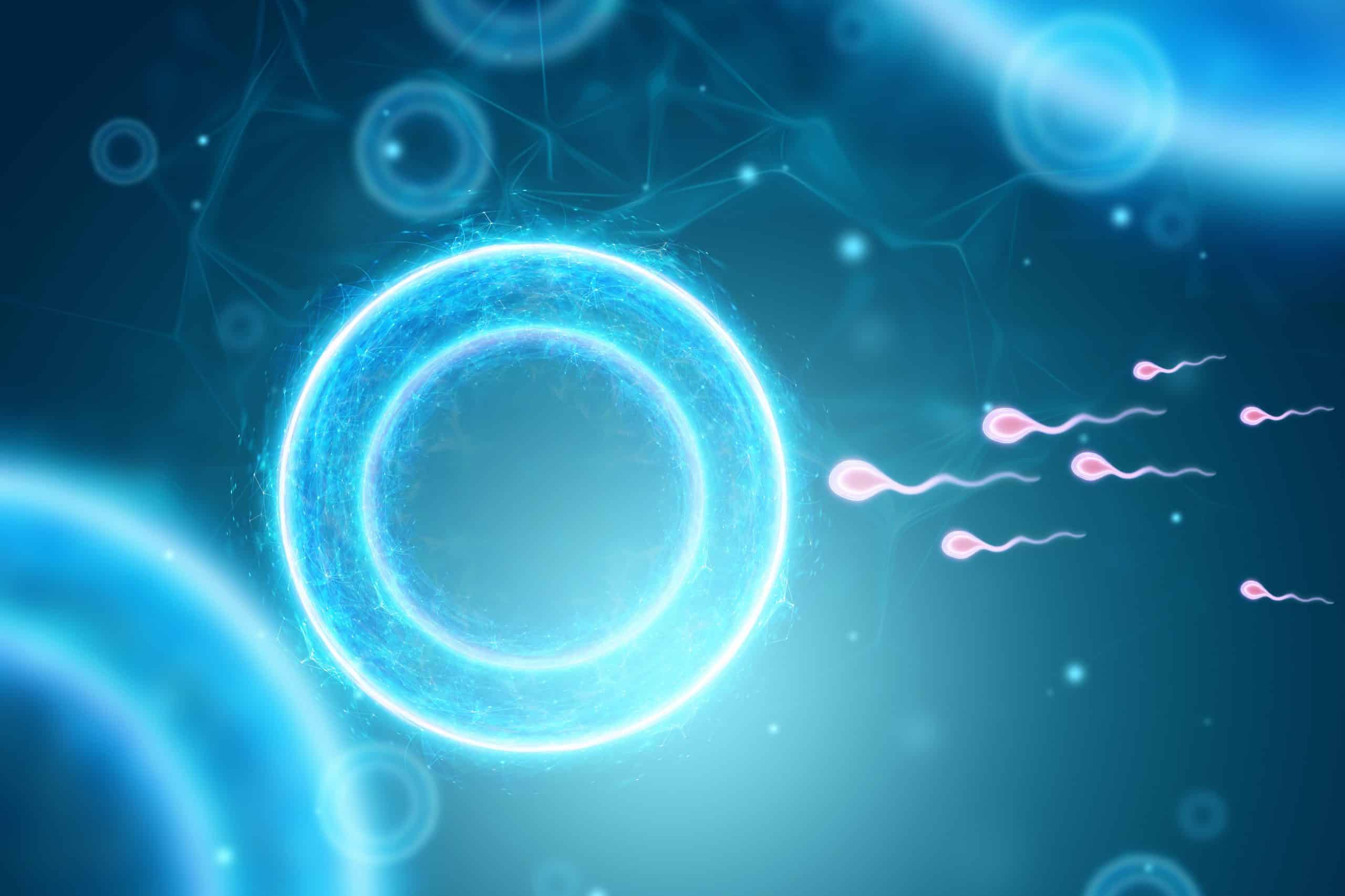 Hombres infértiles disminuye mundialmente el número de espermatozoides