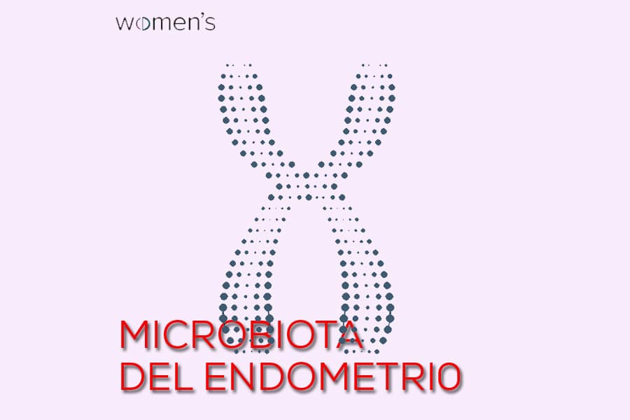 La microbiota del endometrio
